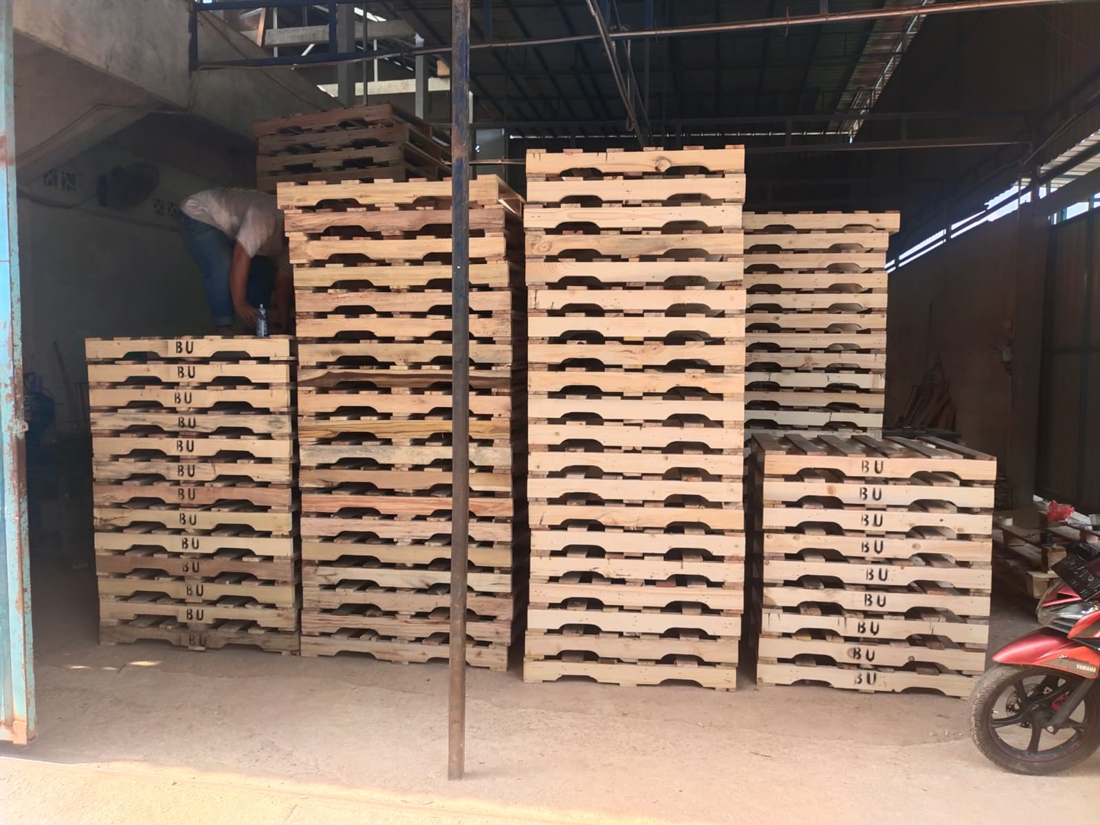 Standar Kualitas dalam Pembuatan Pallet dan Crate Kayu